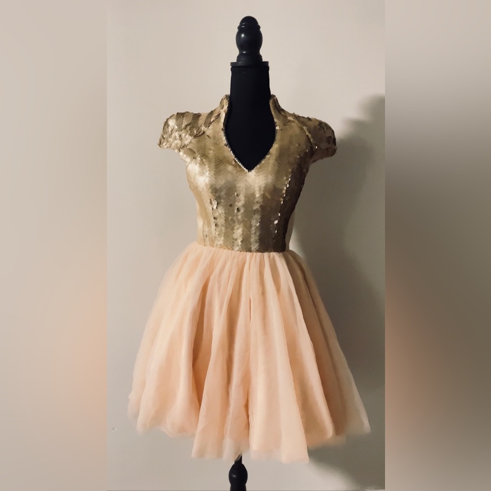 Gold Sequin and Pink Tulle dress